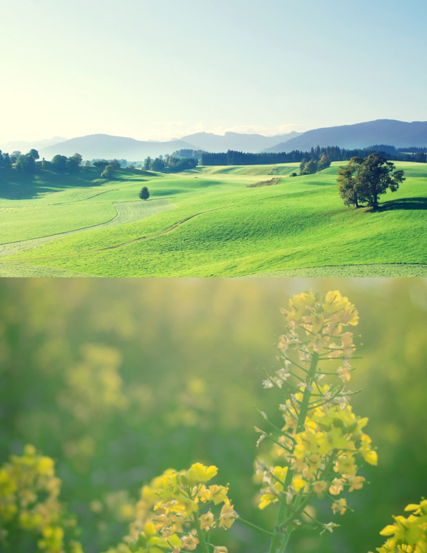 两张图合成一张图无缝拼接,手机照片两张怎么拼接成一张