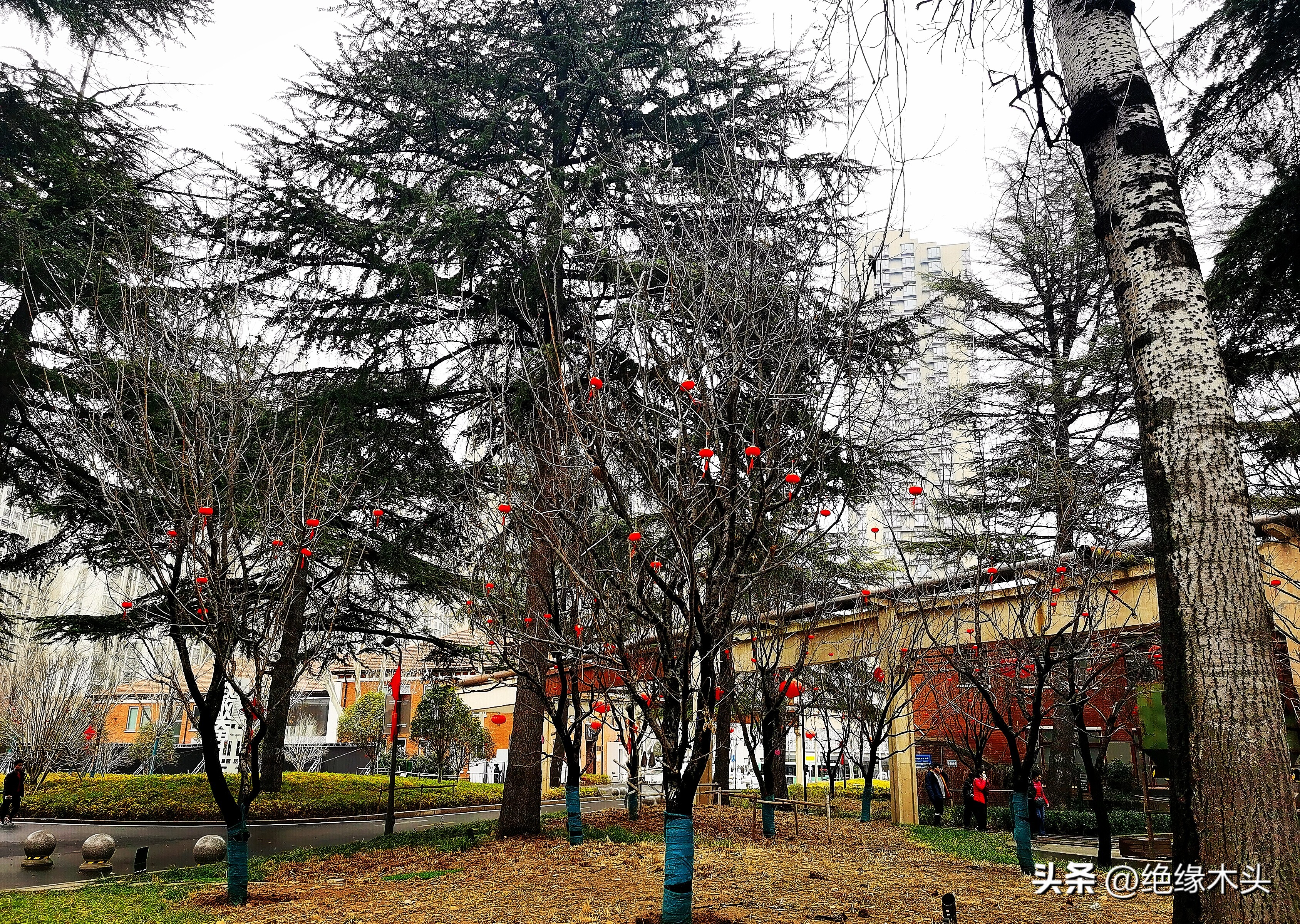 二砂文创园2024年会什么时候开始,郑州二砂文创园展示图