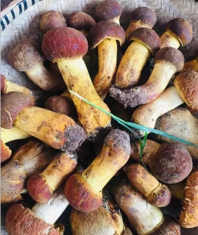 在昆明生活的十个年头,在昆明这个城市生活