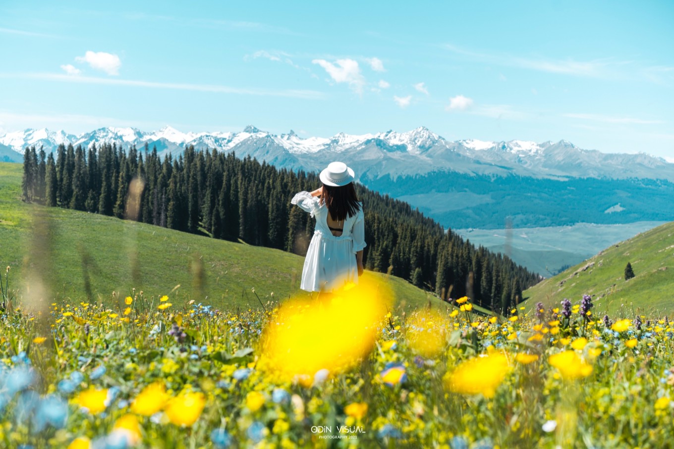 新疆伊犁之美,走了一圈才发现世界万物远不及你