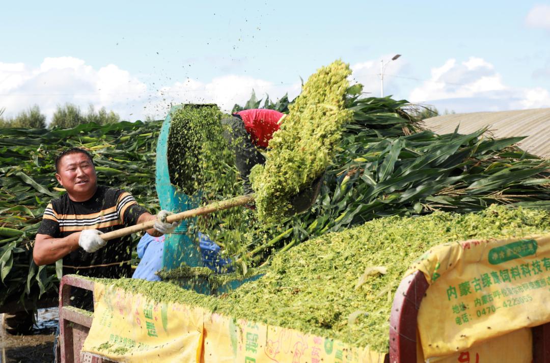 呼伦贝尔：做大生态“绿银行”托起百姓“致富梦”——深入践行习*平近**生态文明思想系列报道之六