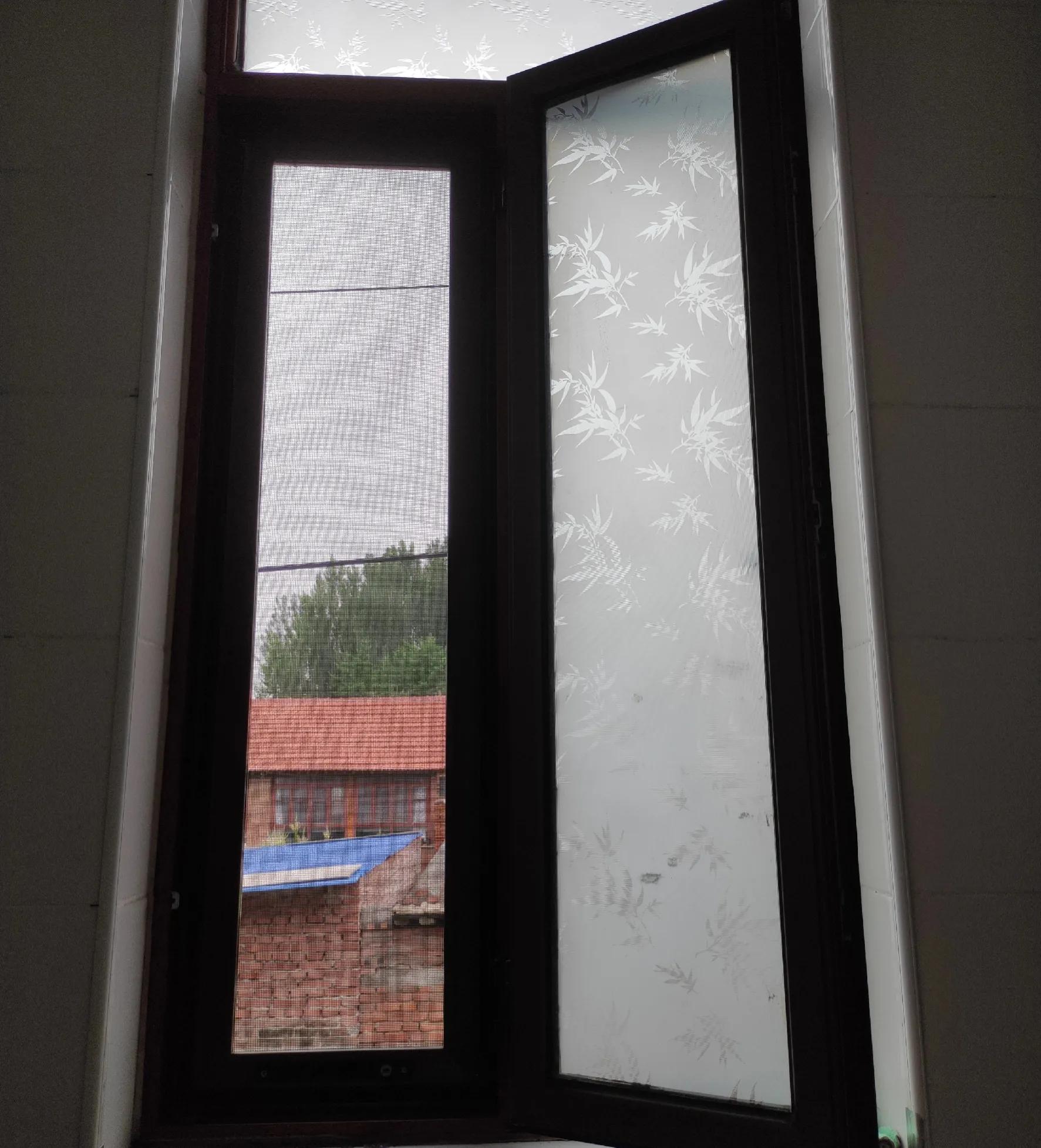 卫生间生小苍蝇怎么去除,卫生间小苍蝇是从哪飞出来的