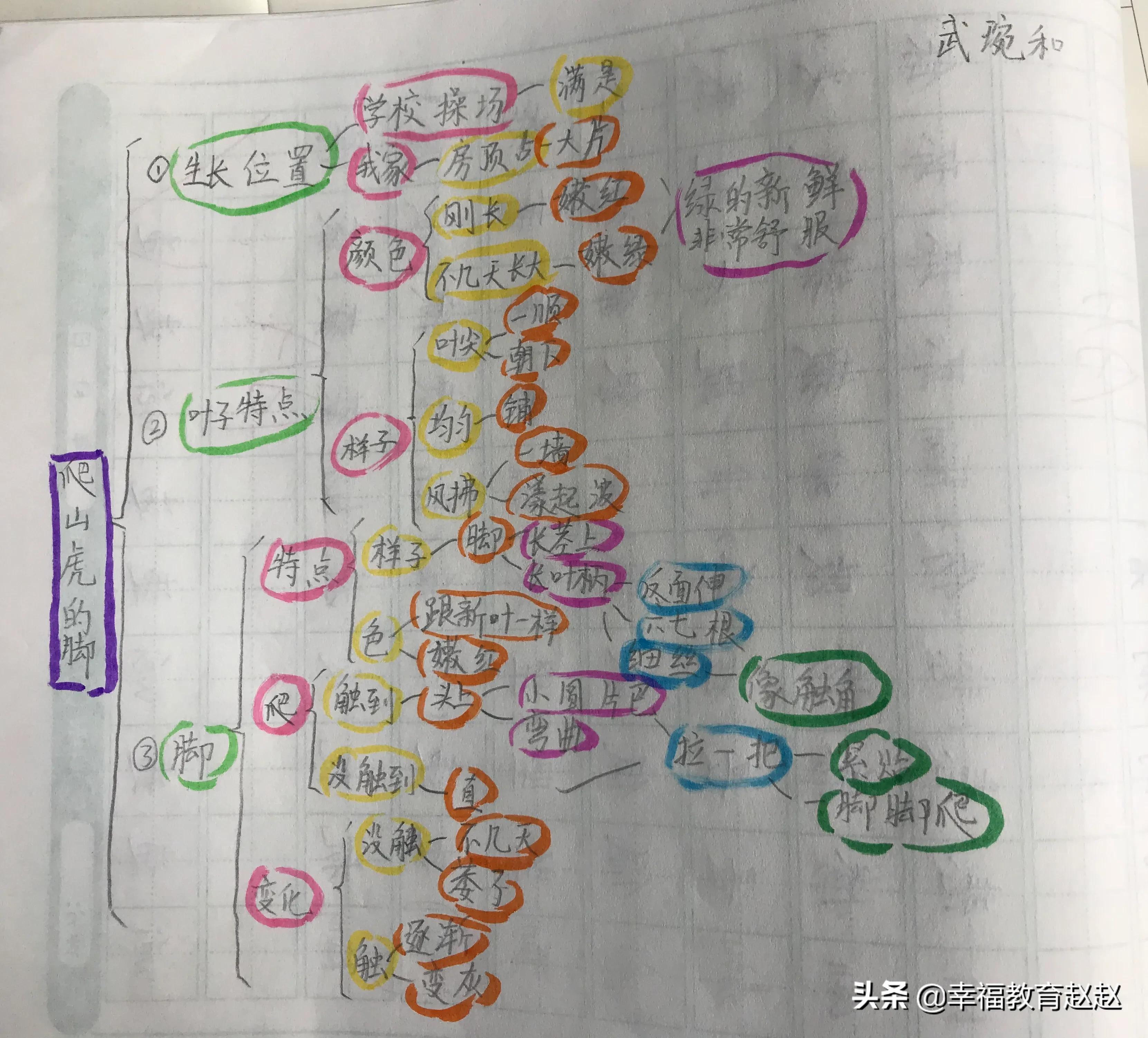 爬山虎的脚思维导图怎么画图片,爬山虎的脚思维导图绘画过程