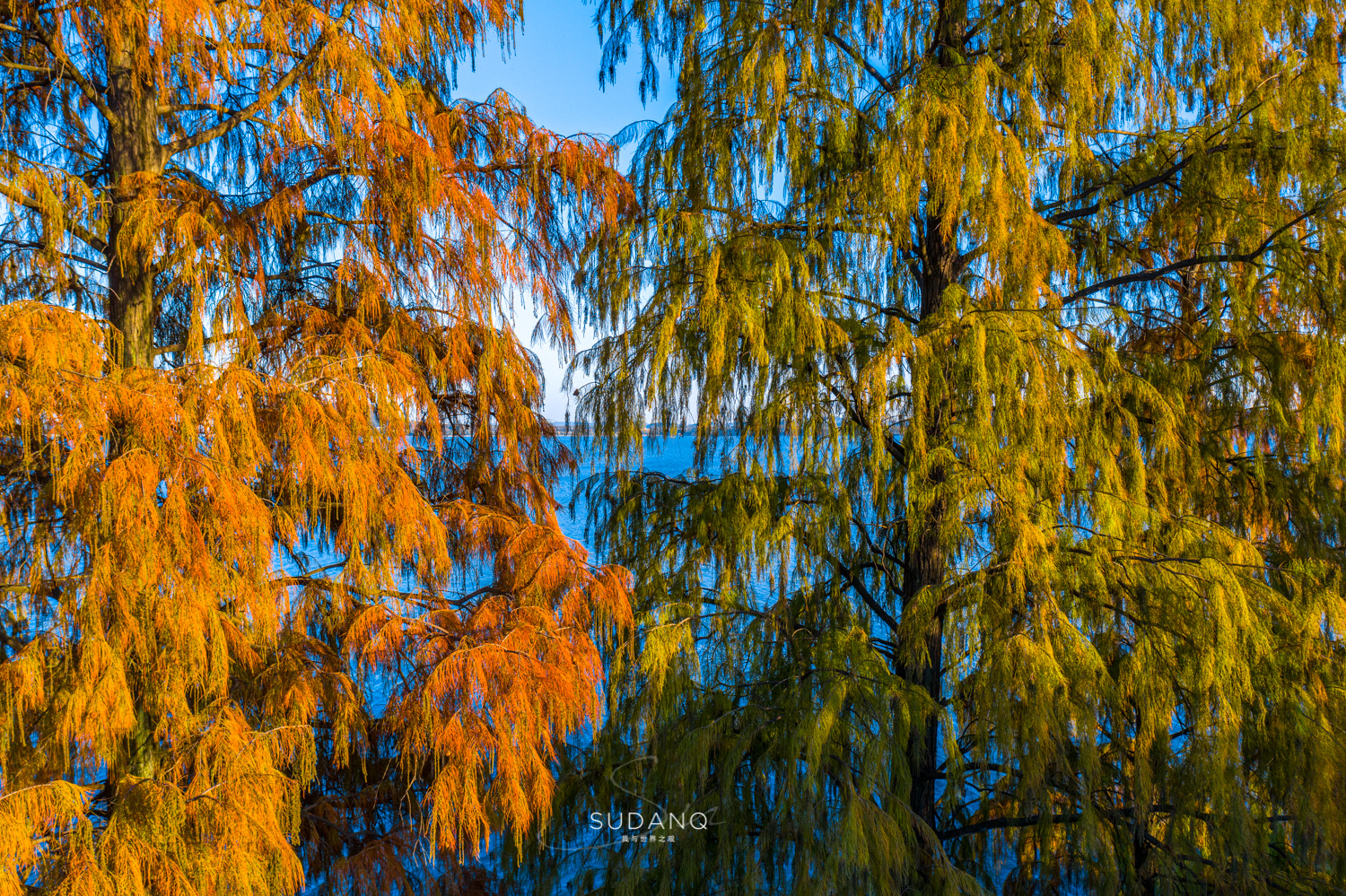 大自然塑造了我,大自然塑造者