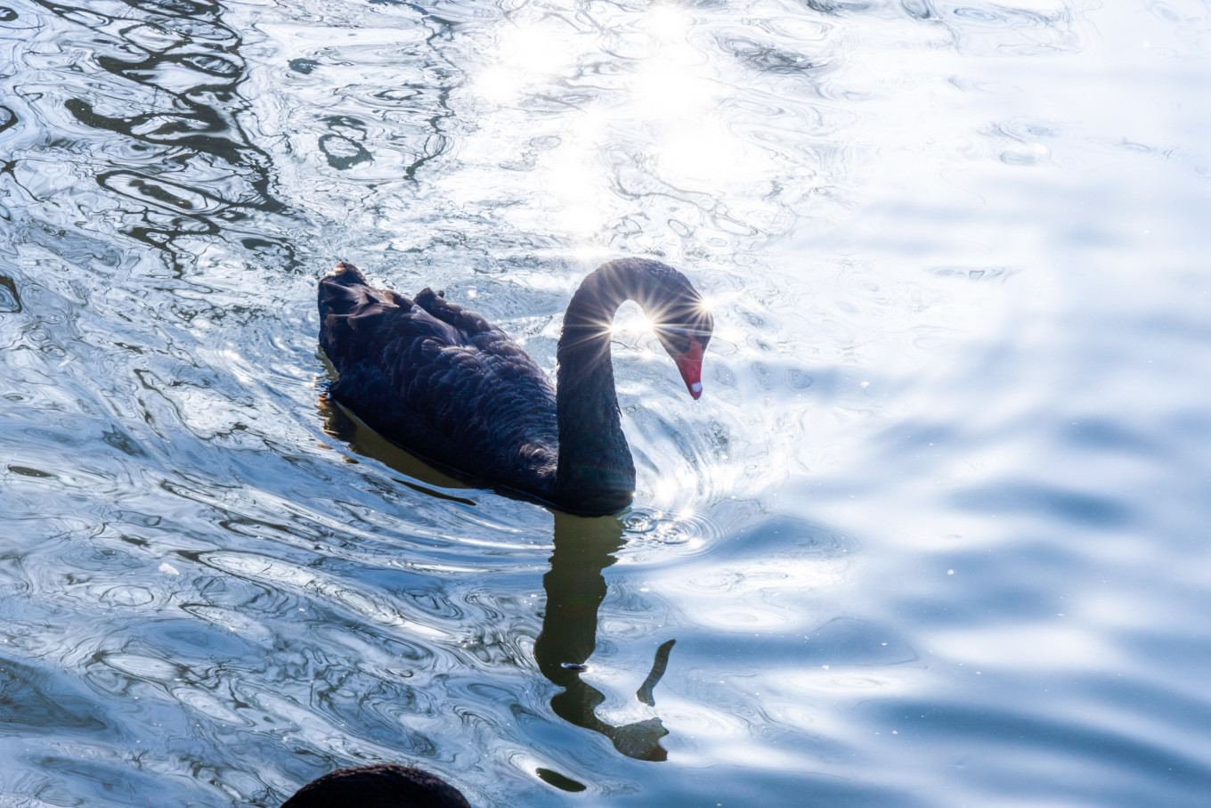 春日下江南杭州,泰州一日游攻略美食