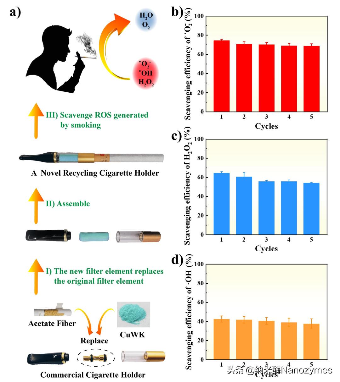 Small|羊毛角蛋白基抗氧化金属纳米酶用于清除香烟烟雾中的活性氧