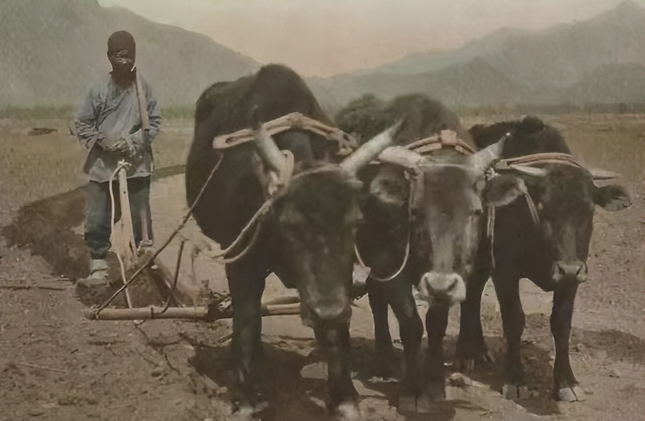 中国拖拉机在非洲惨遭滑铁卢！销售卖不过印度，是中国质量不好吗