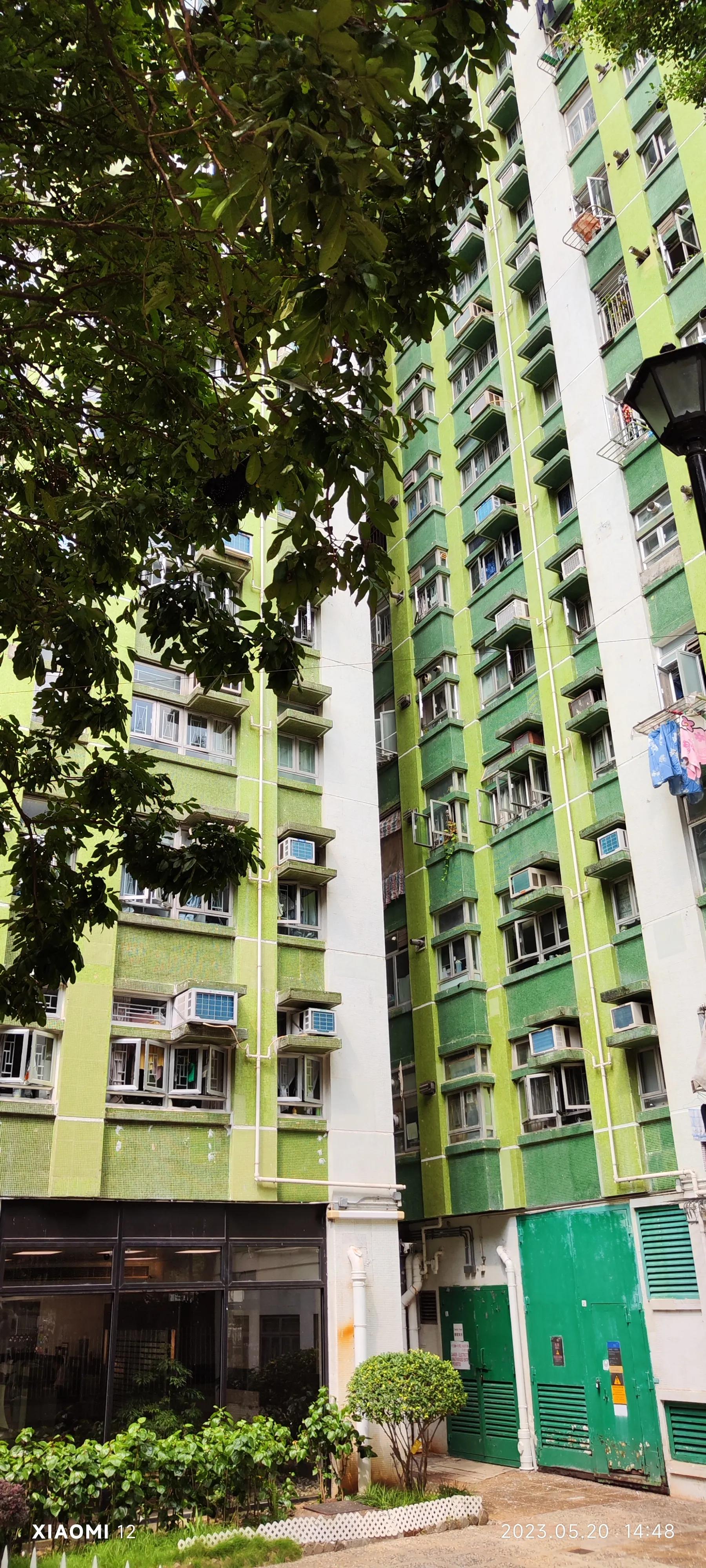 香港大围自由行，重点关注了药品、肉菜以及免税店里香烟的行情