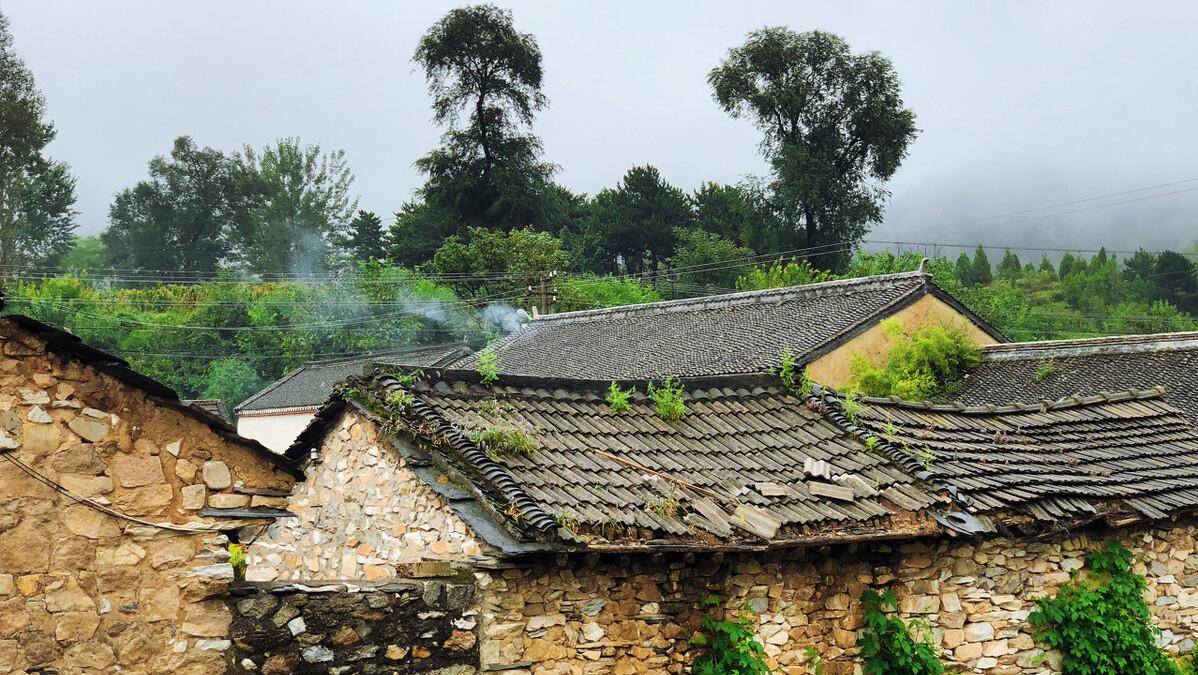 李寡妇短剧,李寡妇视频大全