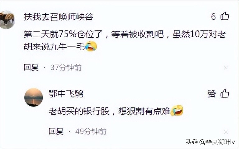 胡锡进：跌到2800点我就加仓,胡锡进炒股秘籍：亏钱就加仓