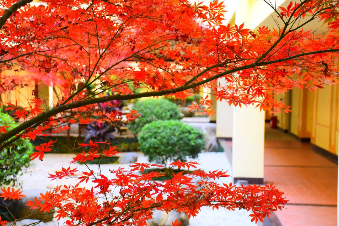 广东乳源南水温泉度假村,世界过山瑶风情园