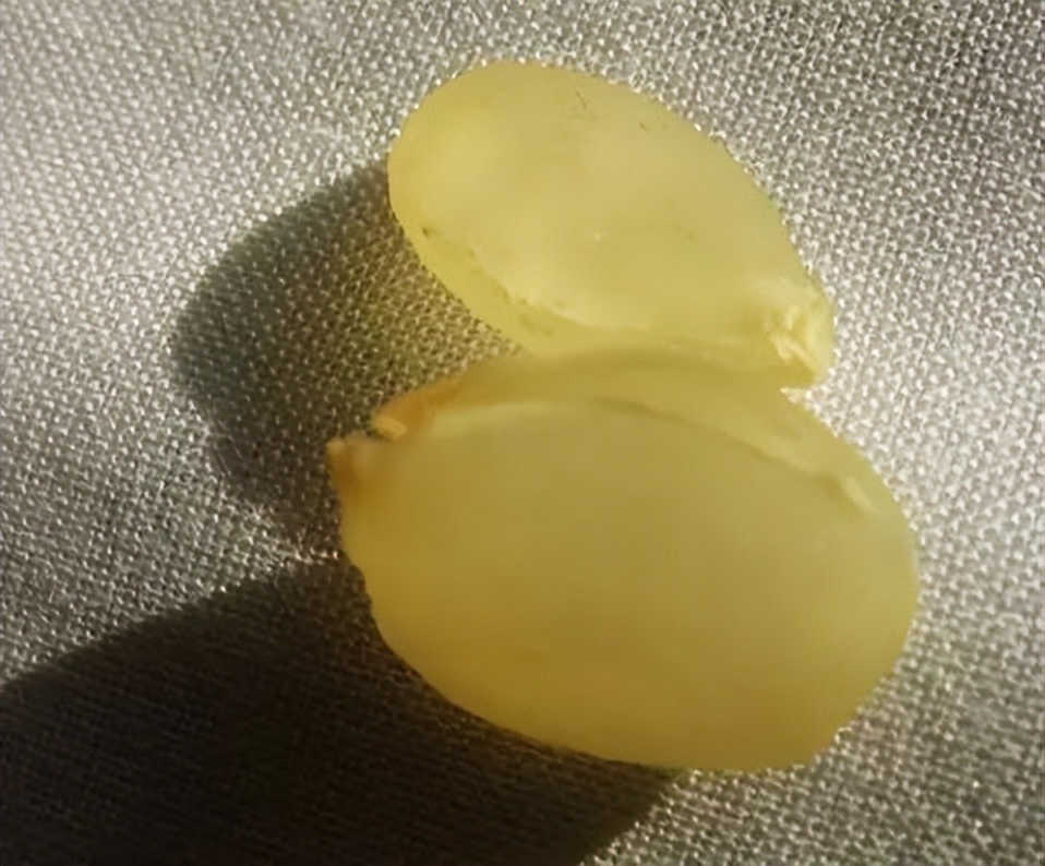 桃胶皂角米能养颜美容吗,吃桃胶雪燕皂角米可以淡斑美容吗