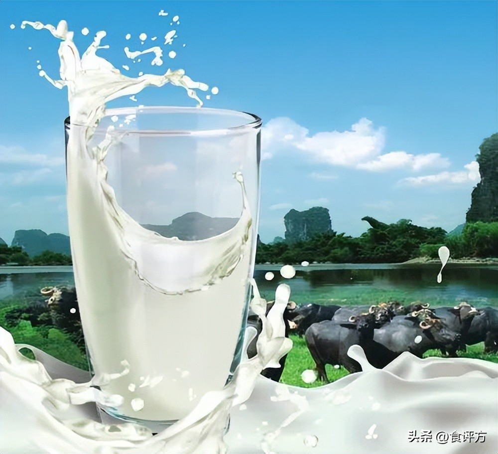 热销高端奶小众奶该怎么选,骆驼奶的发展前景