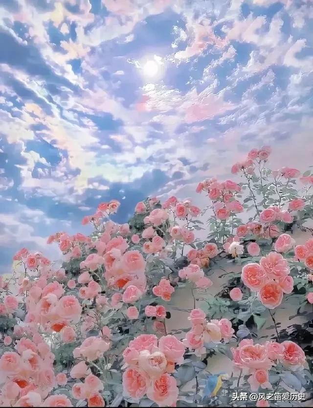 对付小气自私婆婆的最好办法,对付自私婆婆最好的办法