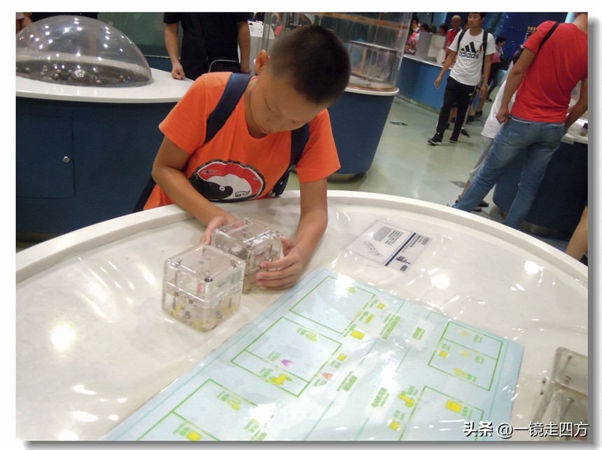 参观北京科技馆游记,参观北京科技馆的感想