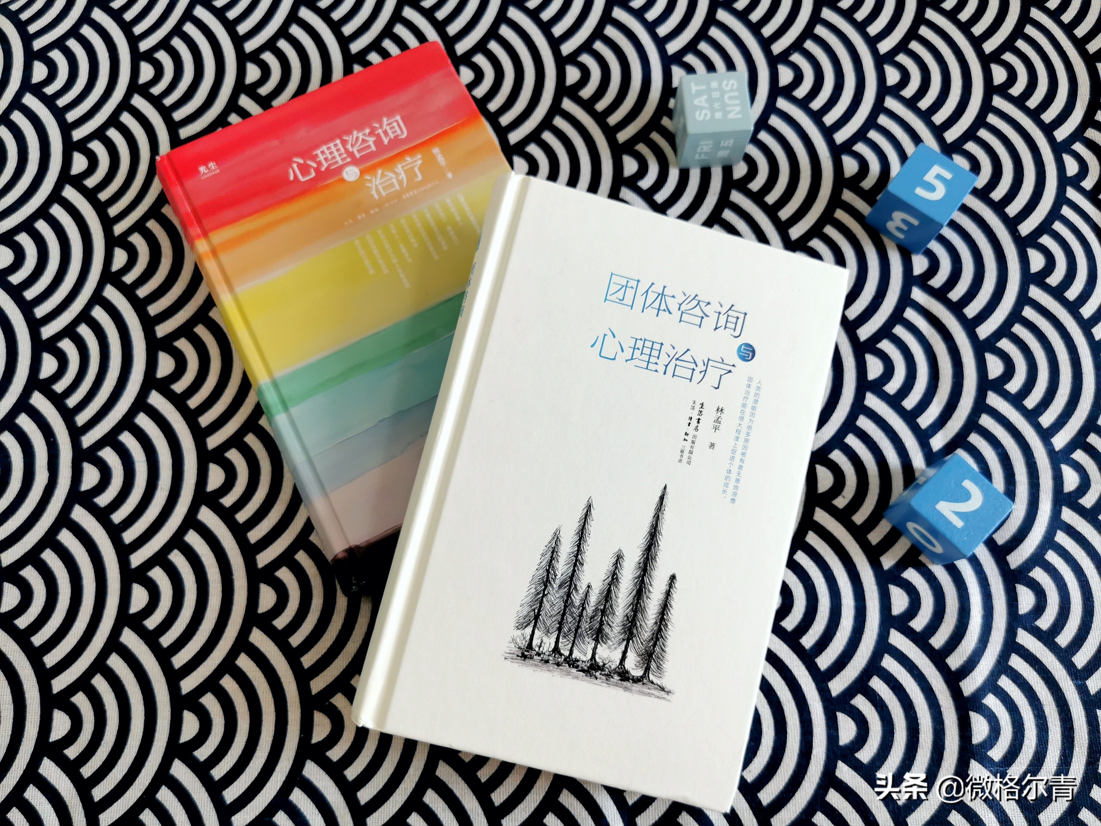 团体咨询与治疗：抱团取暖，彼此成就自我之路