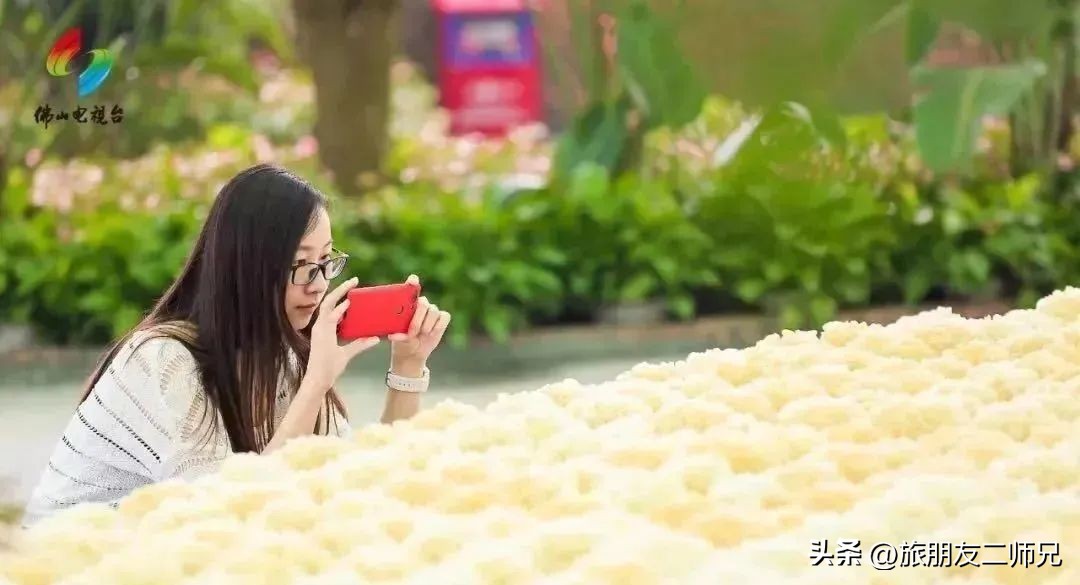 佛山去江门旅游景点推荐,佛山去江门旅游攻略