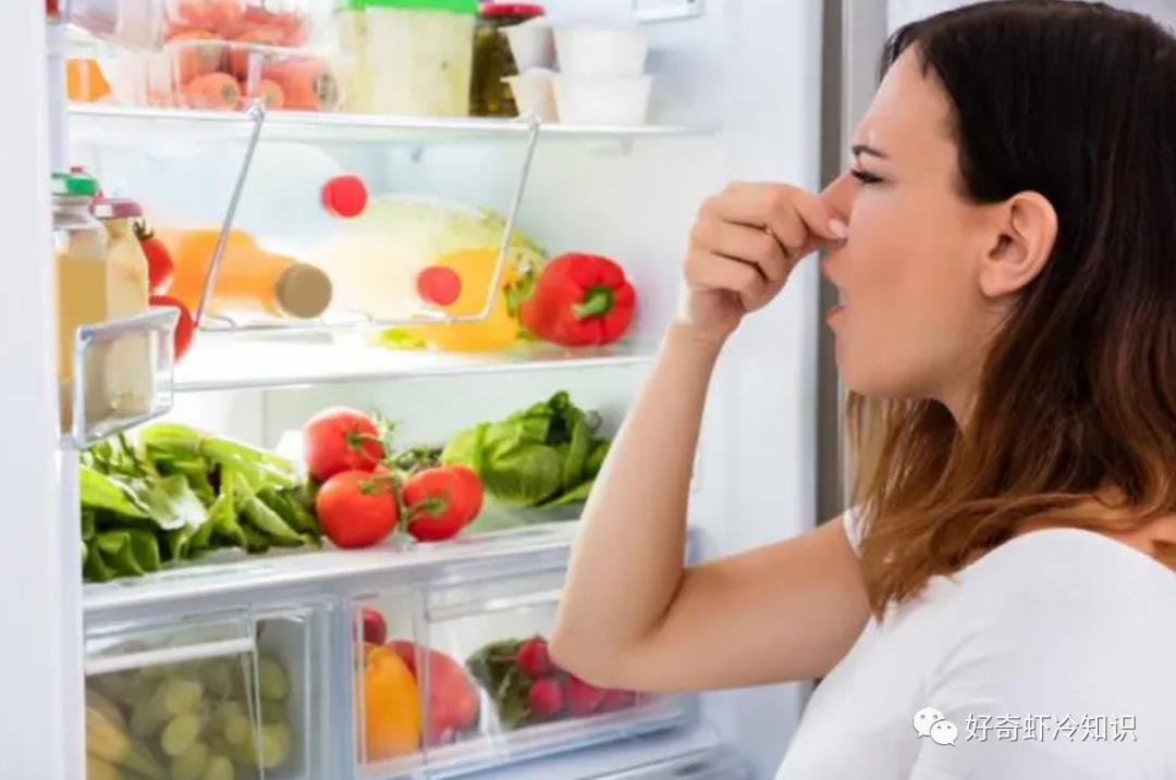 冰箱异味的来源？为何银行卡密码都是6位数？什么是病理性近视？