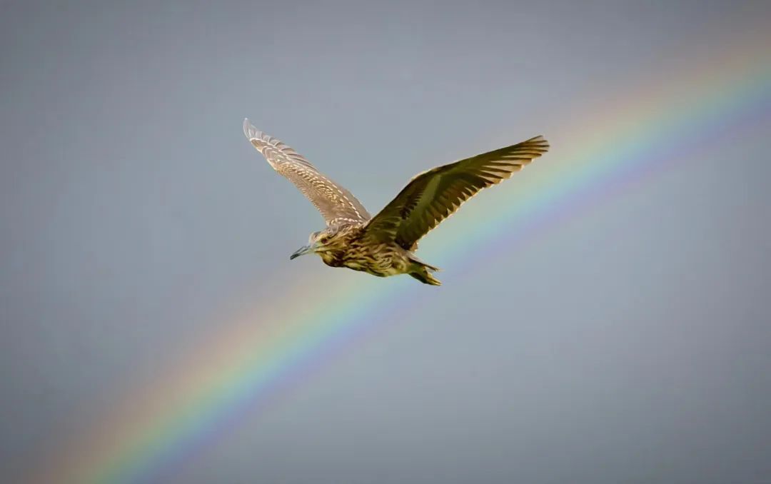 江城夜话全部视频,江城夜话
