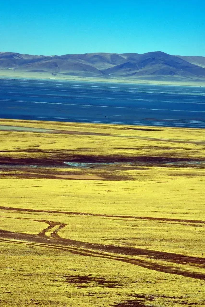 唐诗楚辞男孩名字大全集,唐诗中男孩名字大全集