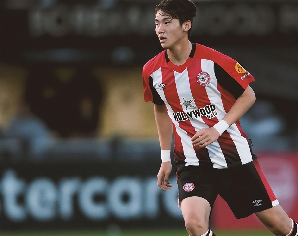 金智勋穿西装,金智贤蓝色礼服