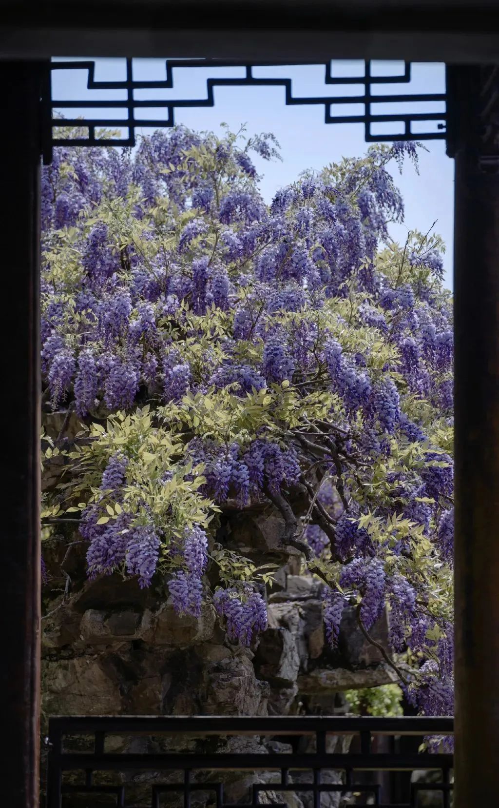 最美的十座园林,中国十大最美园林之留园
