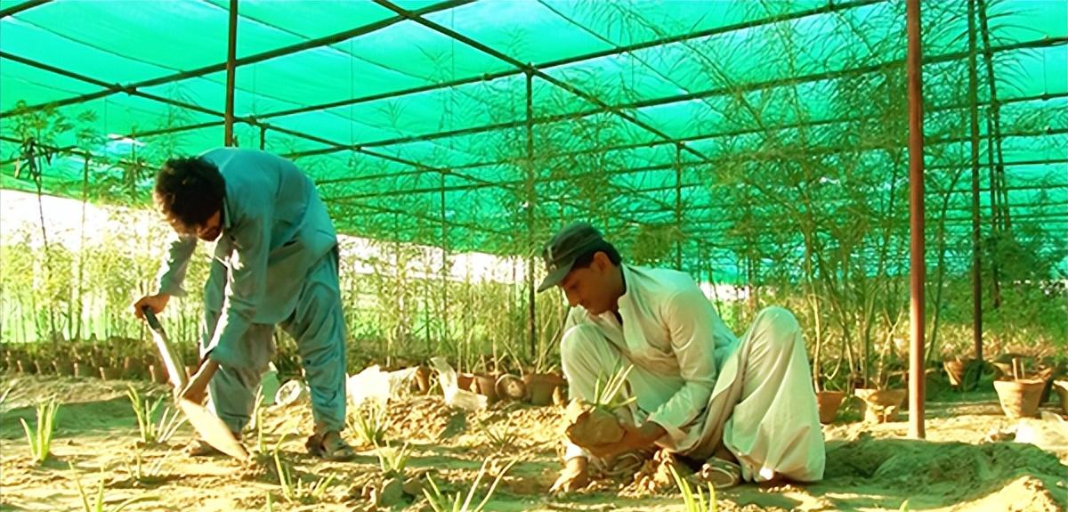巴基斯坦瓜达尔港建设最新进展,中国和巴基斯坦建设瓜达尔港
