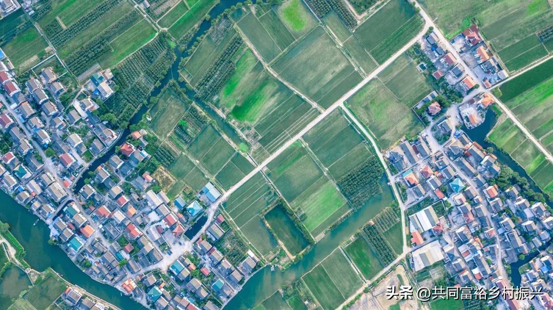 2023年全国乡村振兴优秀案例,乡村振兴典型案例5000字材料