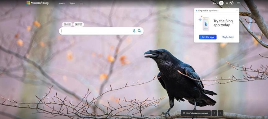 微软必应ai,微软必应bing搜索引擎服务