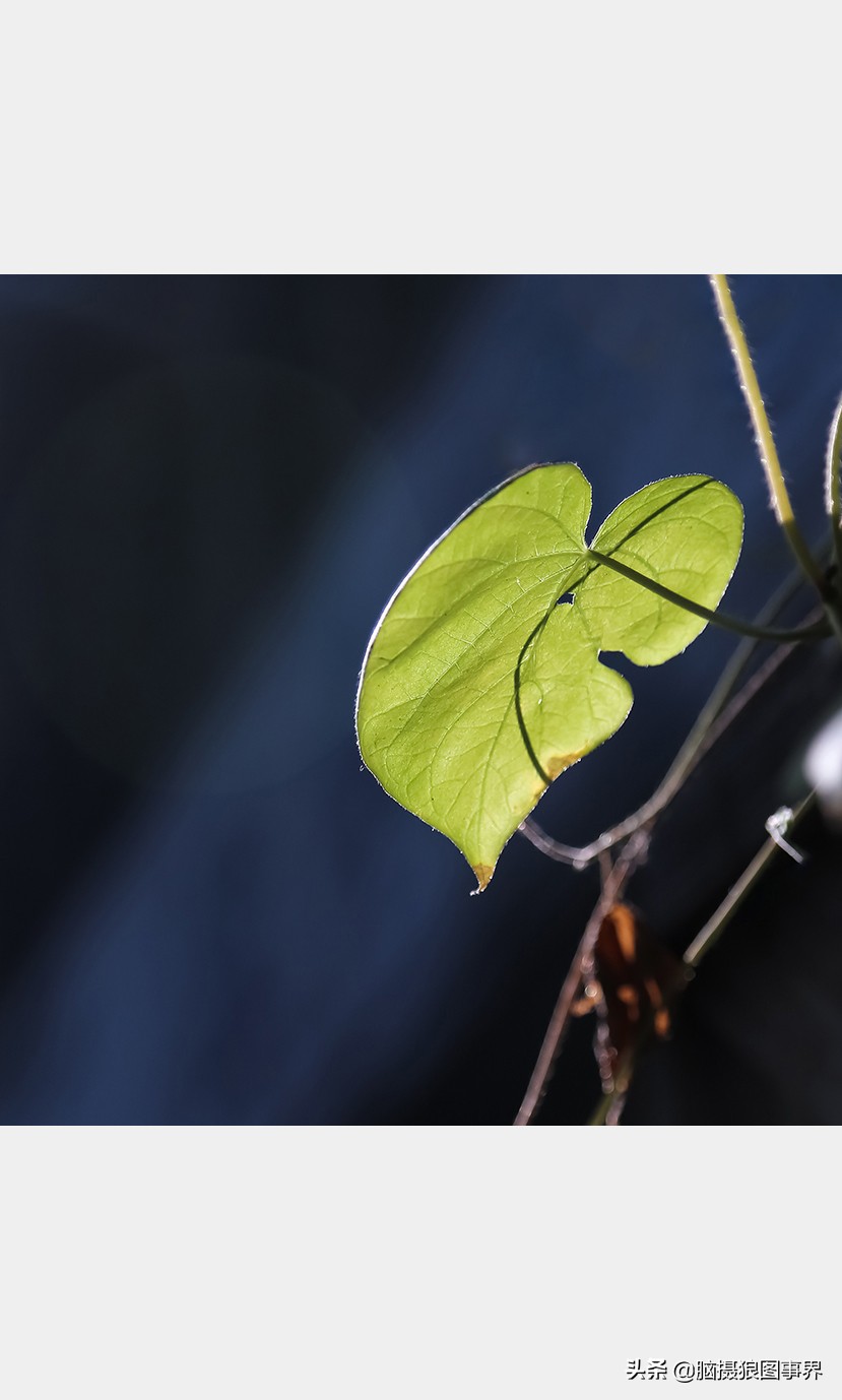为什么你的照片总是灰蒙蒙的,为什么照片拍出来雾蒙蒙的