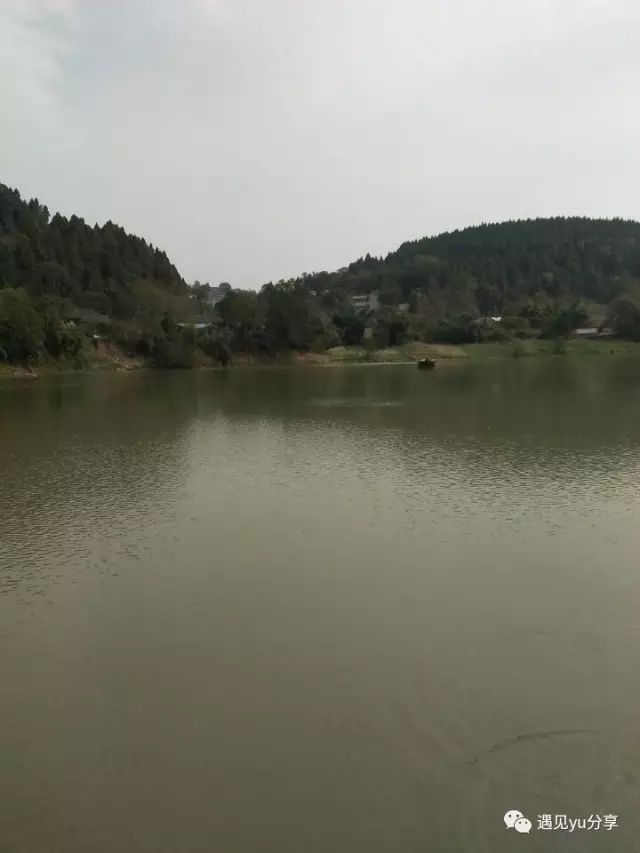 老黄历每天吉日吉时查询,老黄历2024年黄道吉日