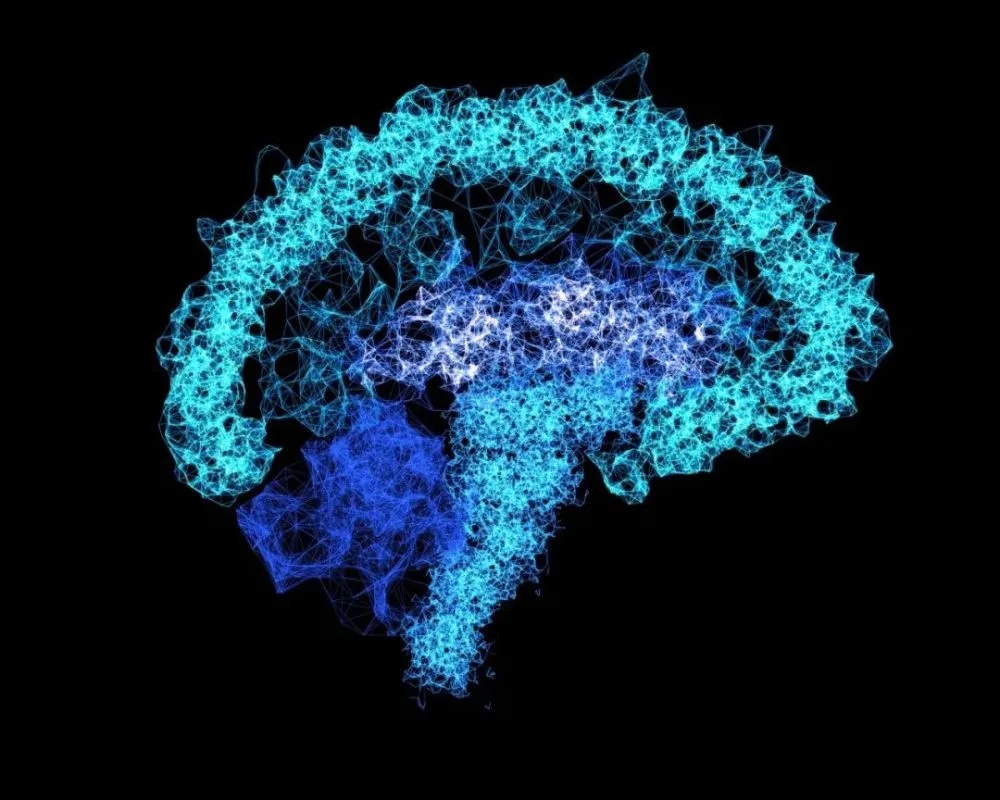 人类大脑能存储多少数据,人类的大脑到底能存多少东西