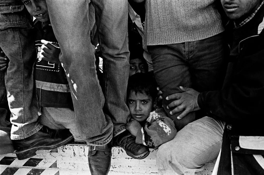 高磊绽放青春,高磊临朐