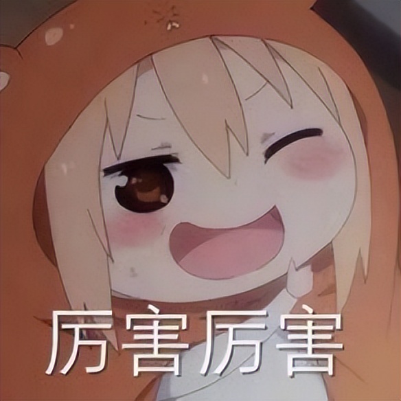 2k显示屏推荐2023性价比最高,千元价位性价比最高的2k显示屏