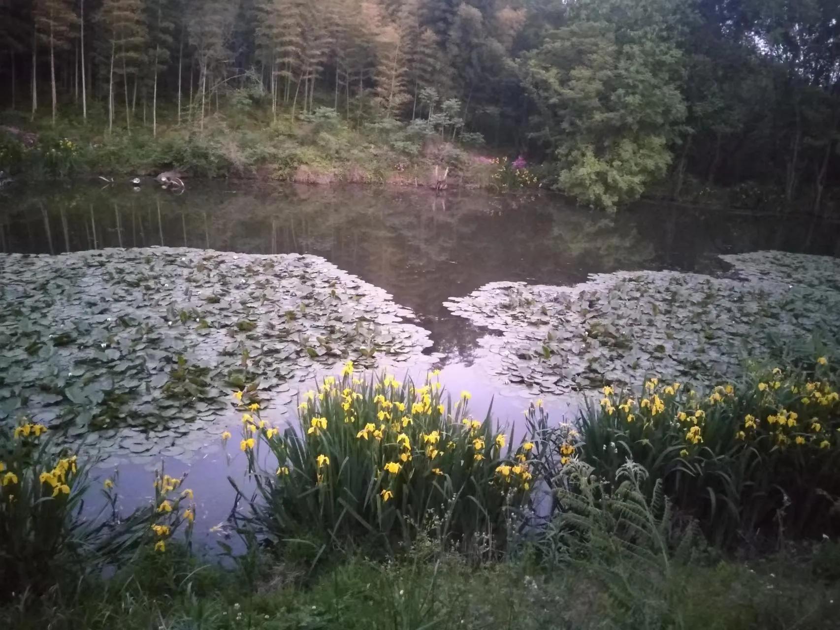 父母是孩子的最好老师,其实父母是孩子最好的老师广告