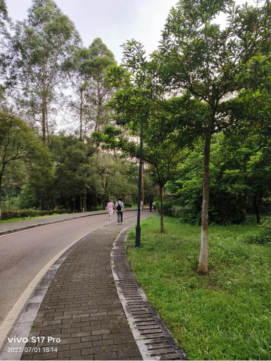 vivos17pro柔光灯试用,vivos17pro冰白玉光与夜