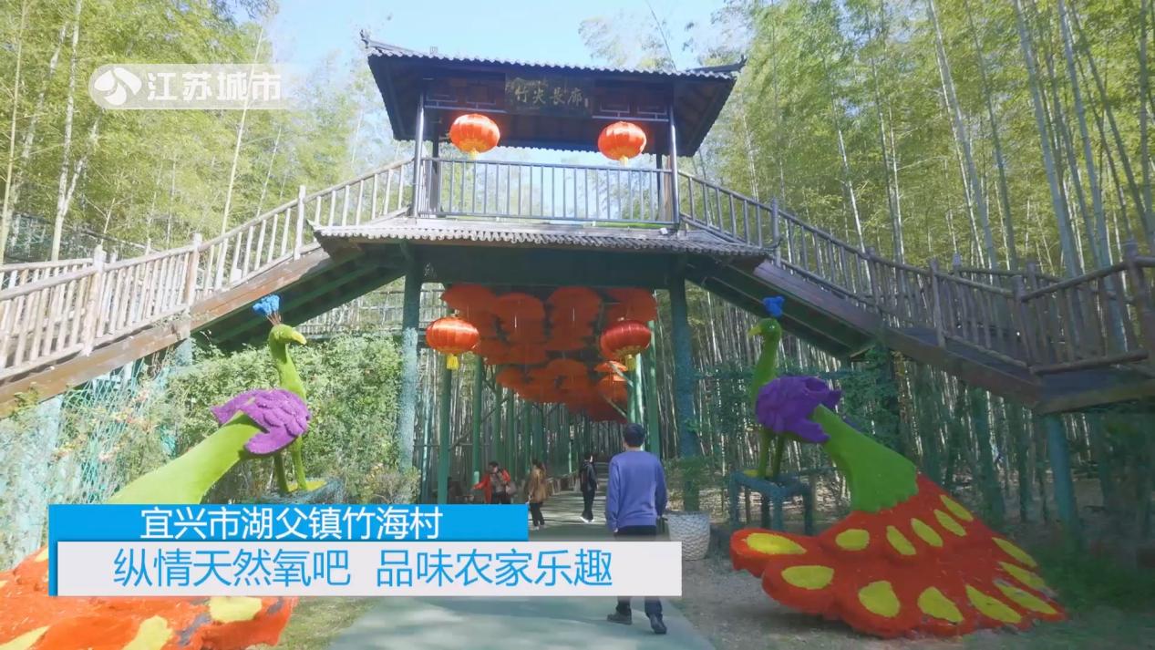 宜兴市湖父镇竹海村万家组黄玉兰,江苏宜兴新闻联播视频直播