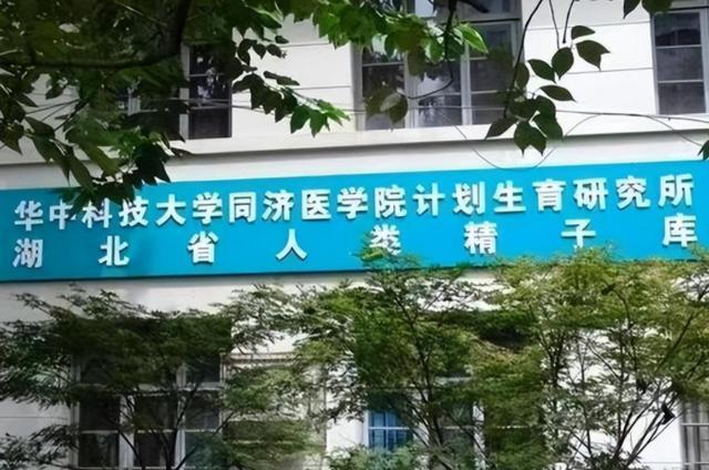 博士11天捐5次精子猝死,博士11天捐5次精子死亡索赔500万