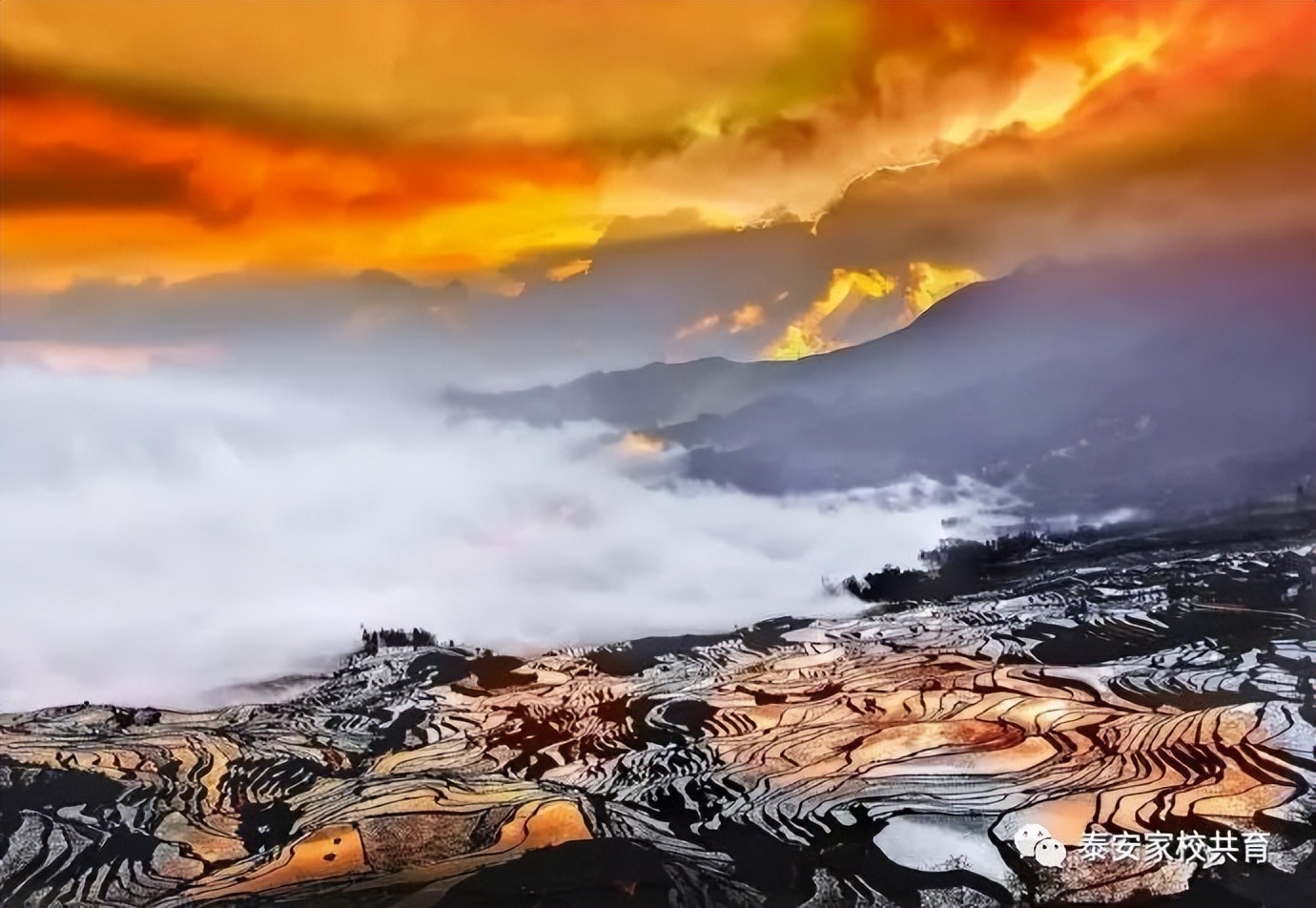 怎样才能学好语文的方法,怎样才能学好语文课