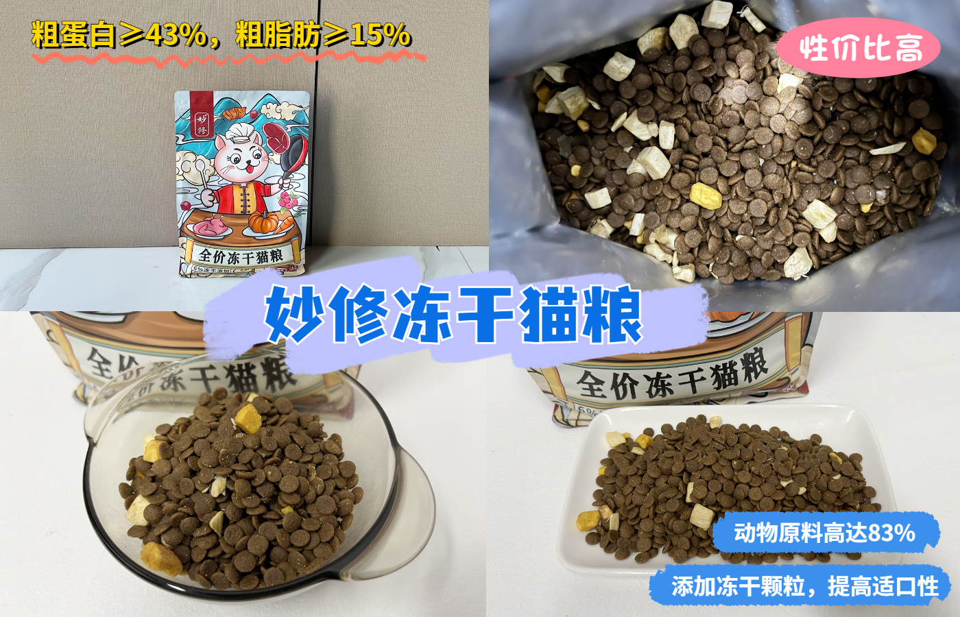 为什么老人都说家里不能养两只猫,十大不适合家养的猫