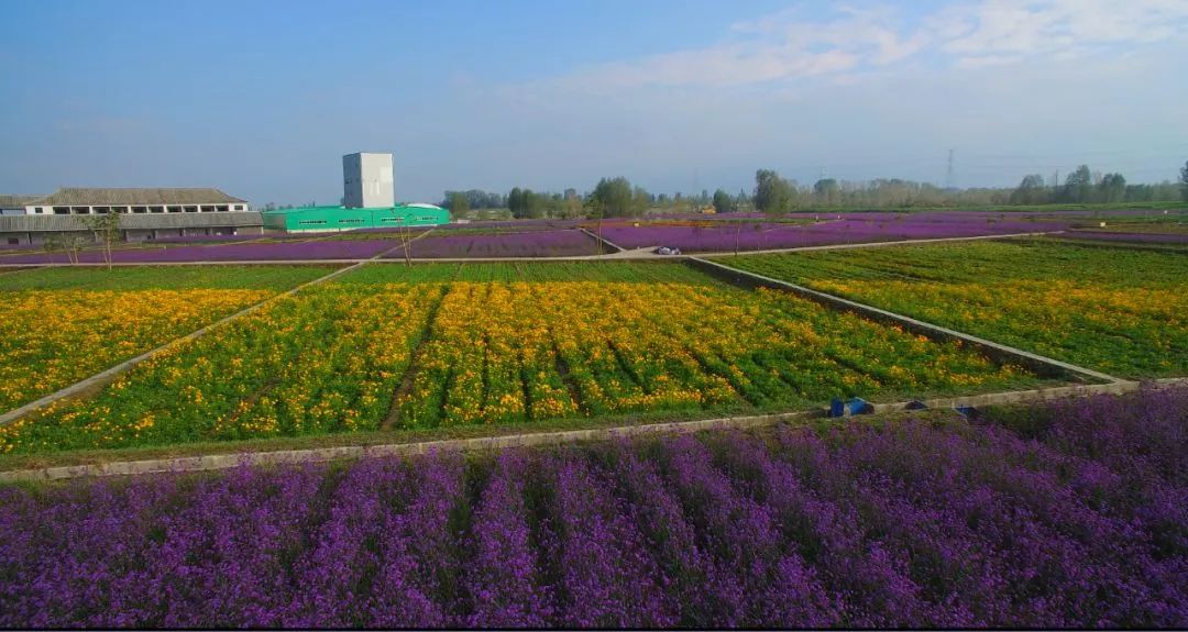 519中国旅游日文明旅游欢乐出行,519中国旅游日游免费