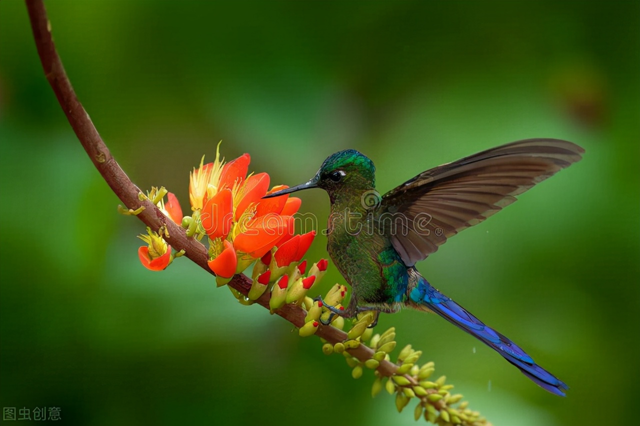 各个国家的国宝大全,世界上的各个国家的国宝