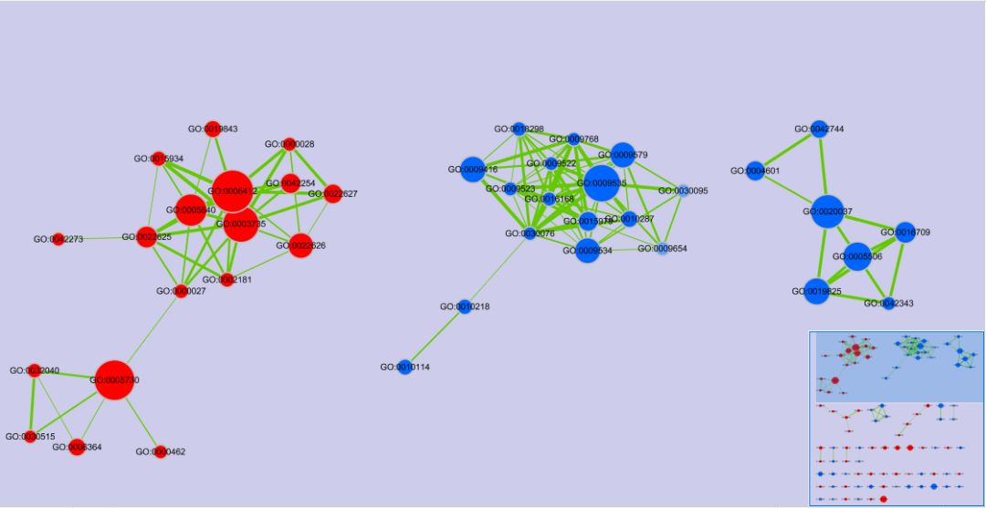 一文带你详解redis,gsea软件如何使用