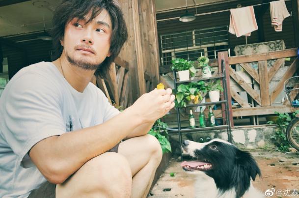 沈泰打过于正吗,沈泰打余震