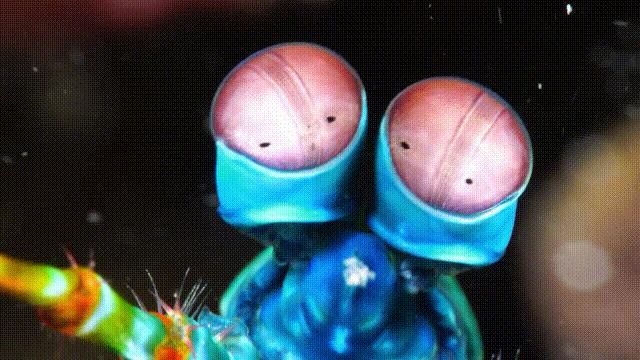 元宇宙给我们带来的影响,元宇宙对普通生活的影响