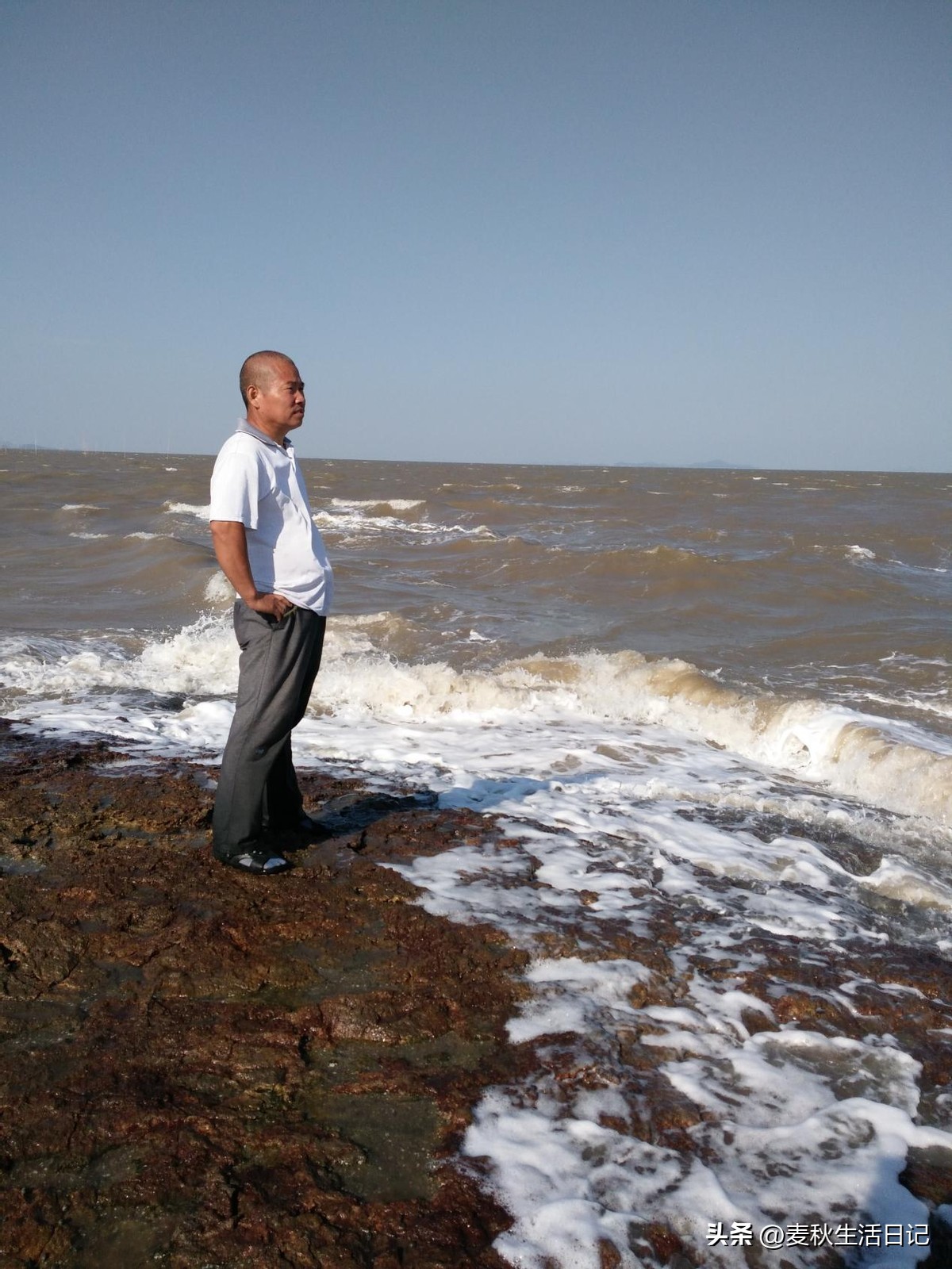 电脑基础知识大全,显卡电路基础知识全集