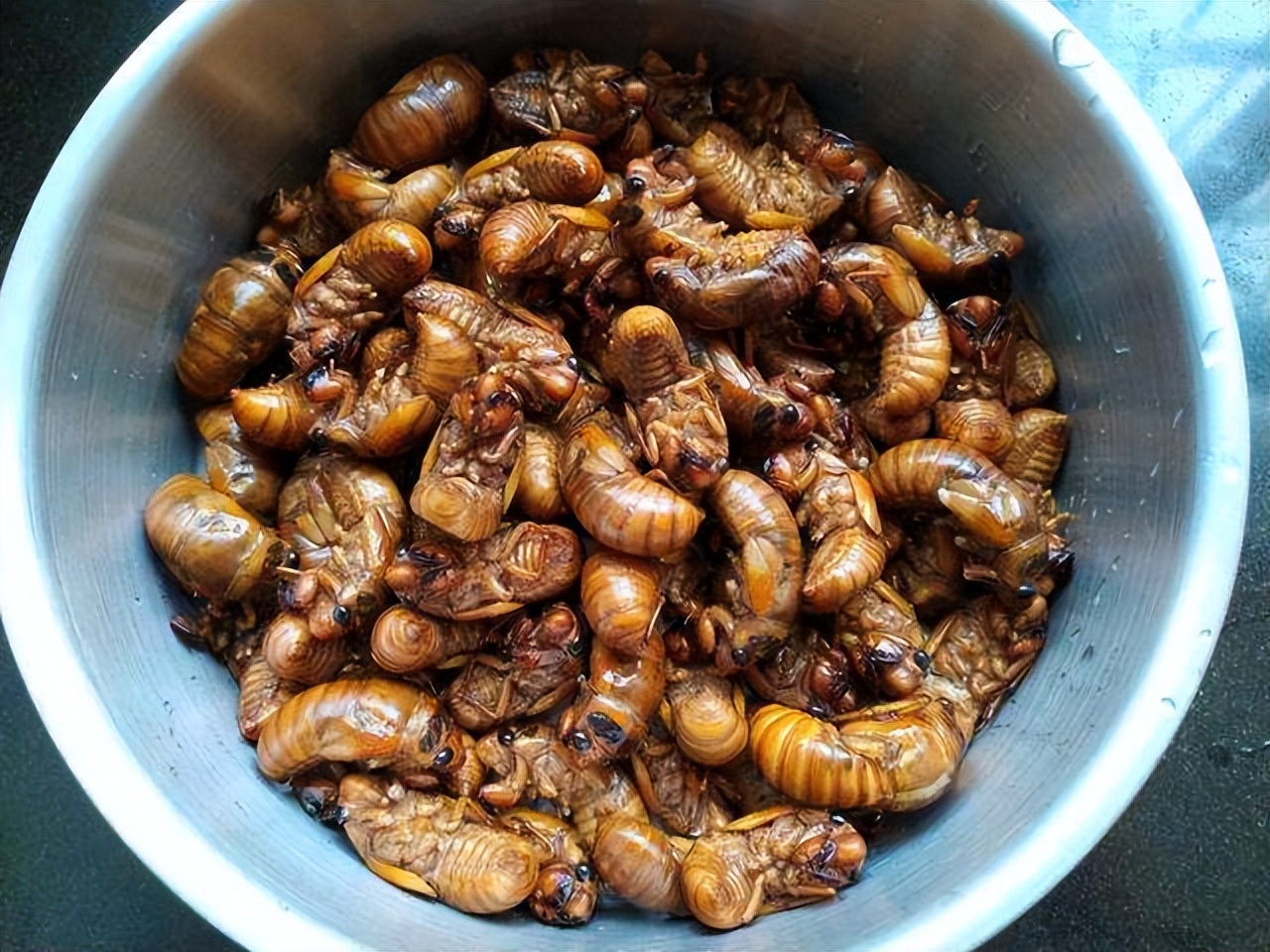 金蝉别只会炸着吃，分享金蝉的3种做法，入味好吃，酥脆不油腻