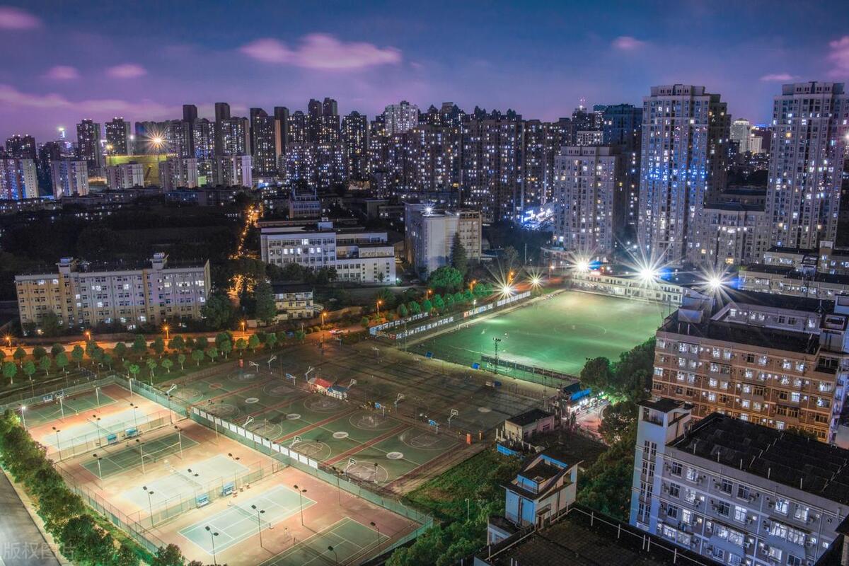 武汉排名前20的专业最好的学校,武汉前十专科大学王牌专业