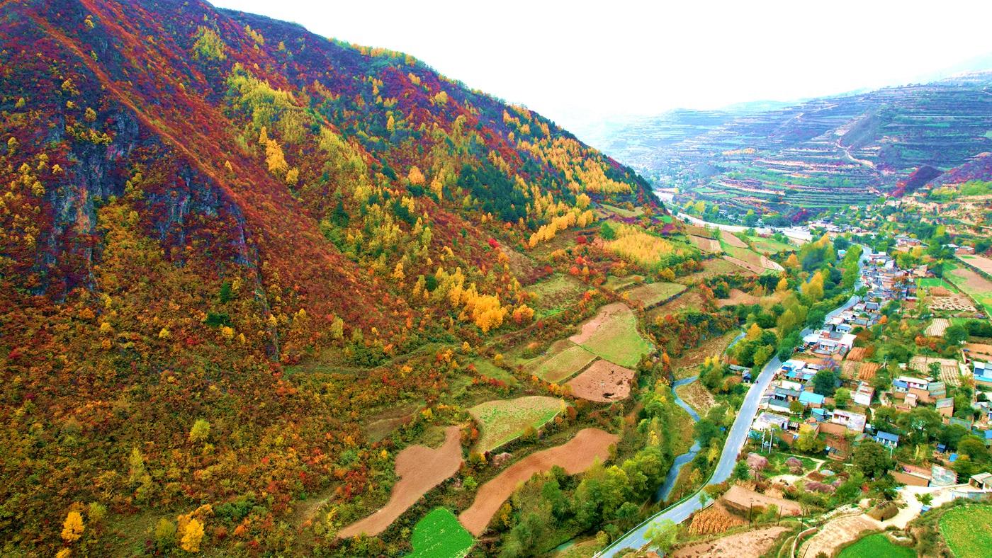 天然氧吧养生避暑,天然氧吧休闲养生的好地方