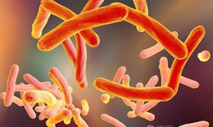 三甲医院治不了的病怎么办,三甲医院治不好的病被村医治好了